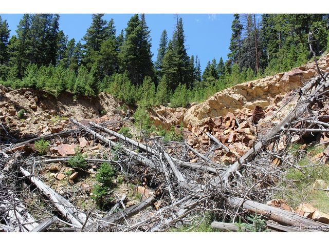 630 FS 417.1, Black Hawk, CO 80422