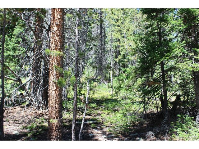 630 FS 417.1, Black Hawk, CO 80422