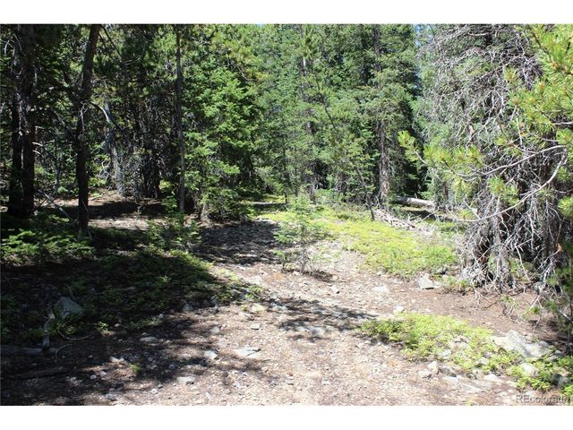 630 FS 417.1, Black Hawk, CO 80422