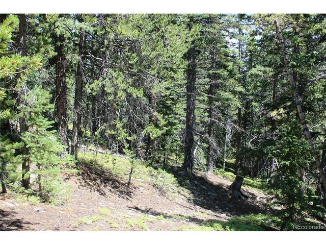 630 FS 417.1, Black Hawk, CO 80422