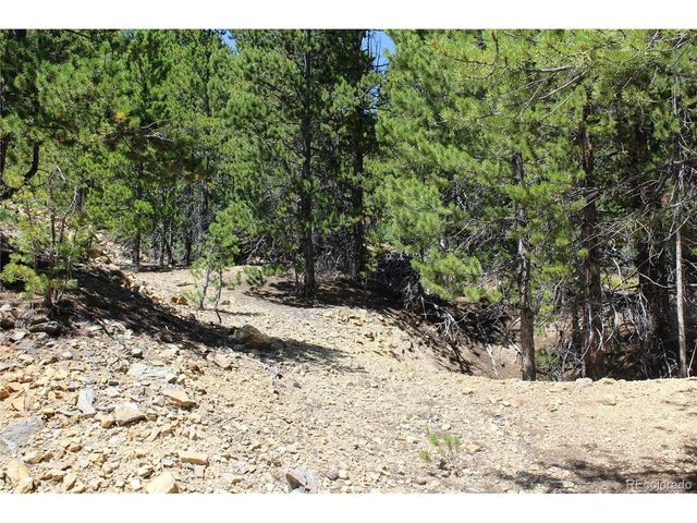 630 FS 417.1, Black Hawk, CO 80422