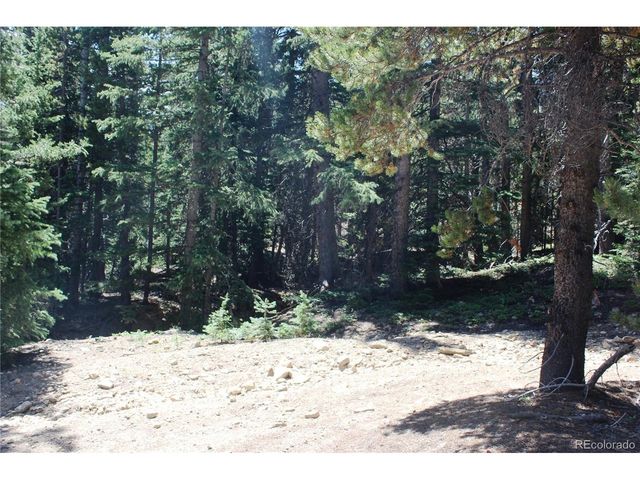 630 FS 417.1, Black Hawk, CO 80422