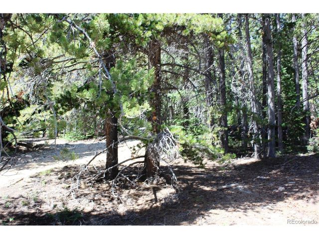 630 FS 417.1, Black Hawk, CO 80422