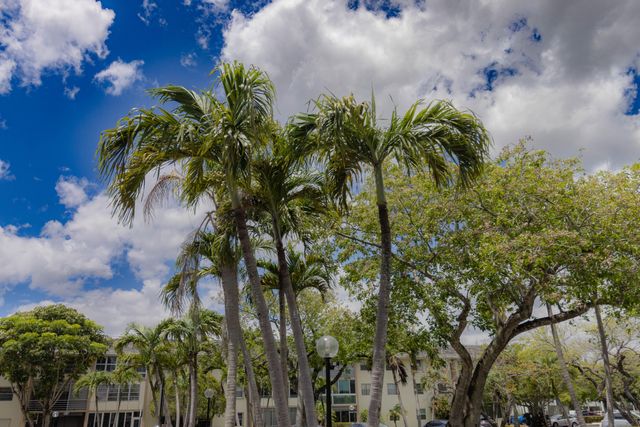 4980 E Sabal Palm Boulevard E 124, Tamarac, FL 33319