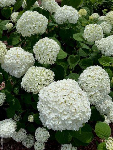 5700 24 Mile Road, Shelby Charter Township, MI 48316