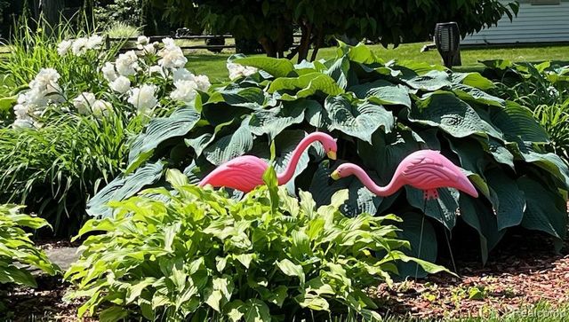 5700 24 Mile Road, Shelby Charter Township, MI 48316