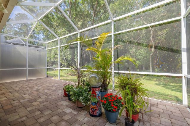 3764 DARSTON STREET, Palm Harbor, FL 34685