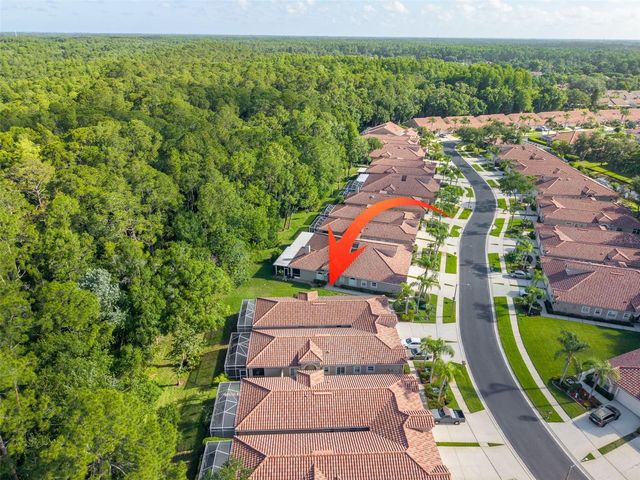3764 DARSTON STREET, Palm Harbor, FL 34685
