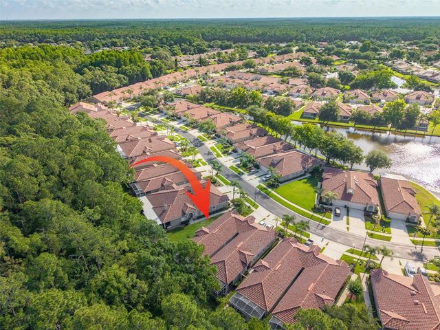 3764 DARSTON STREET, Palm Harbor, FL 34685