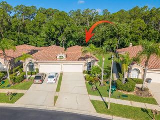 3764 DARSTON STREET, Palm Harbor, FL 34685