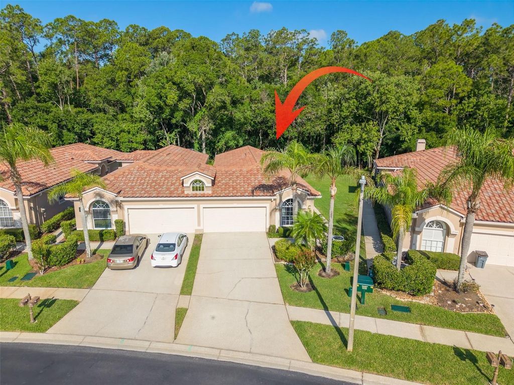 3764 DARSTON STREET, Palm Harbor, FL 34685