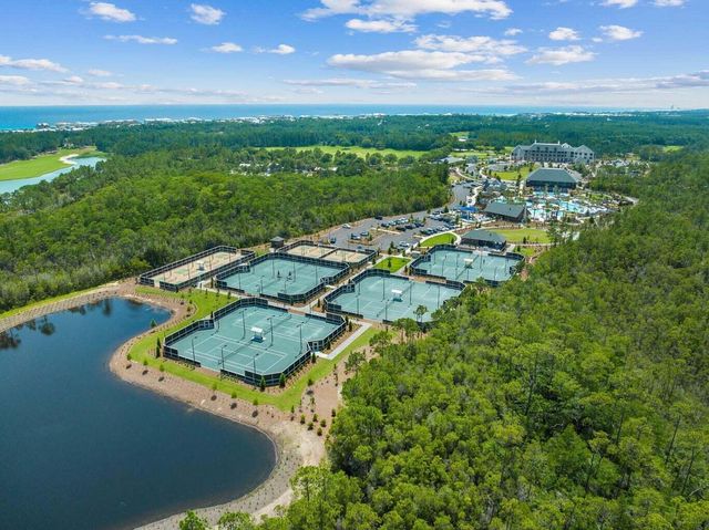 221 Quail Hollow Court, Inlet Beach, FL 32461