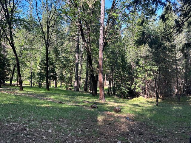 5570 Five Spot Rd, Pollock Pines, CA 95726