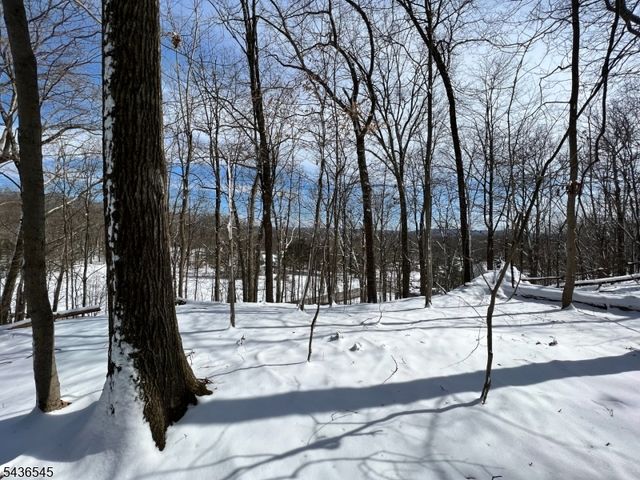 76 Monroe Rd, Lafayette Twp., NJ 07848
