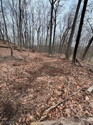 76 Monroe Rd, Lafayette Twp., NJ 07848