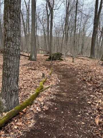 76 Monroe Rd, Lafayette Twp., NJ 07848
