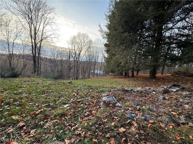 411 Fairview Heights Drive, Toronto, OH 43964