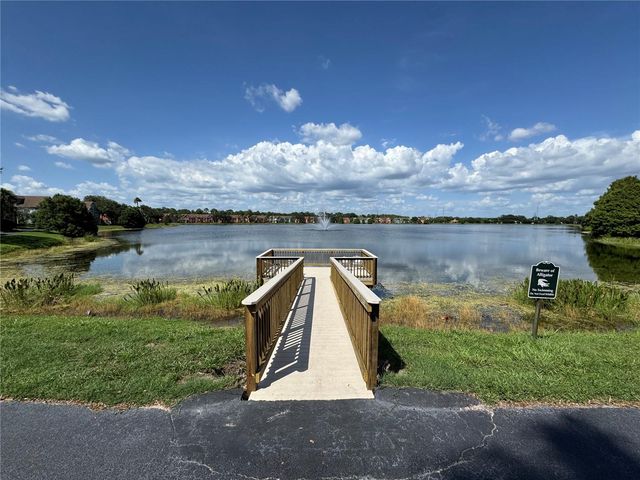 9288 LAKE CHASE ISLAND WAY, Tampa, FL 33626