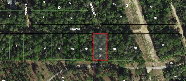 2801 Kerry Street, Inverness, FL 34452