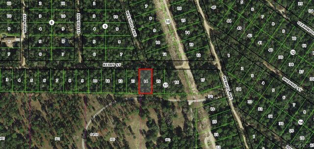2801 Kerry Street, Inverness, FL 34452
