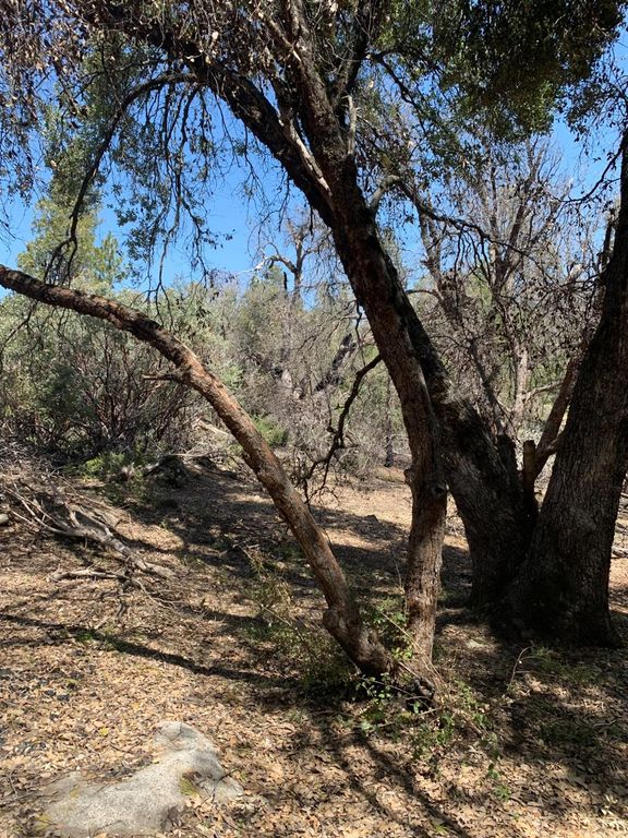 Image 2 of property listing at 0 Auberry Road, Auberry, CA 93602