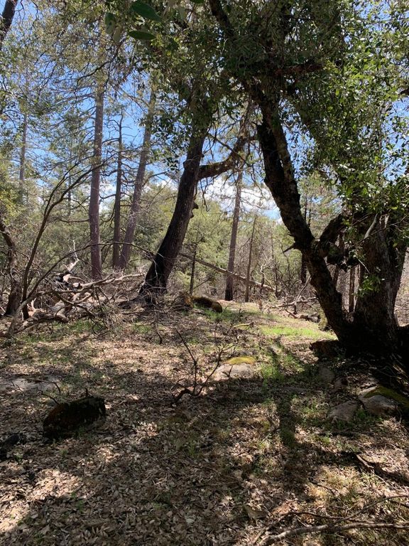Image 3 of property listing at 0 Auberry Road, Auberry, CA 93602