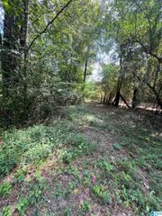 2475 COUNTY ROAD 228, Clanton, AL 35045