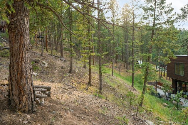30166 Glen Eyrie, Evergreen, CO 80439