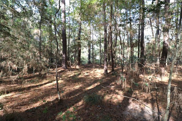 29633 Huffman Cleveland Road, Huffman, TX 77336