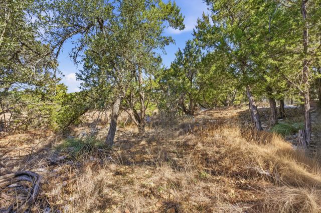 12 Tanglewood TRL, Wimberley, TX 78676