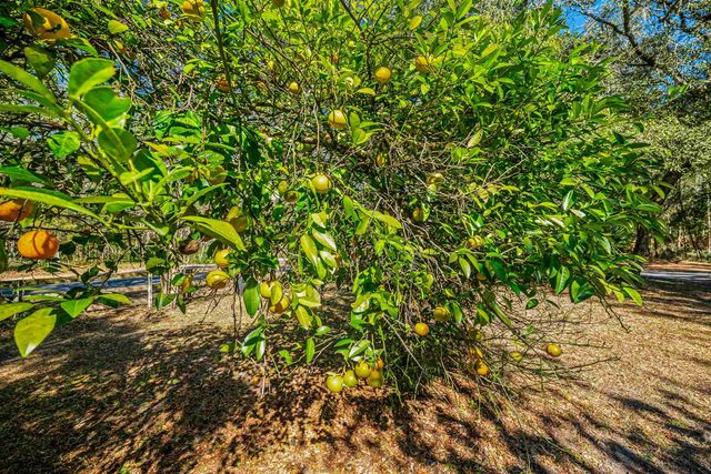 2950 Kings Rd, St Augustine, FL 32086