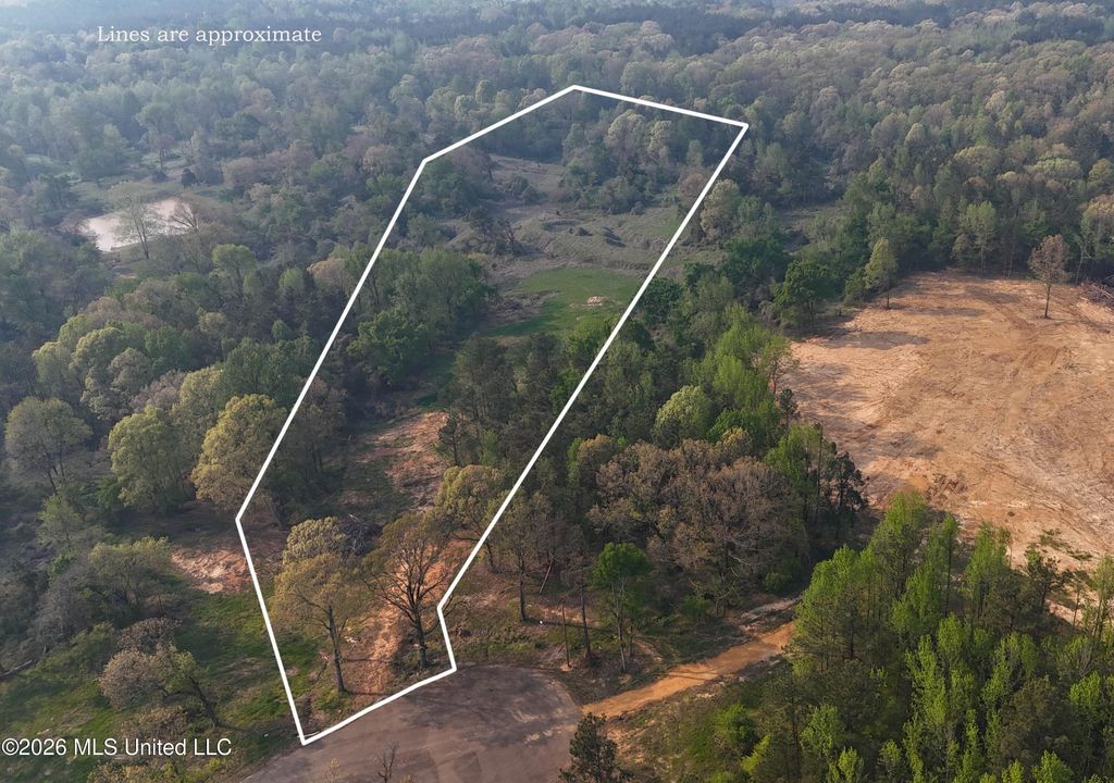 7 Tyro Branch Cove, Senatobia, MS 38668 — photo 2