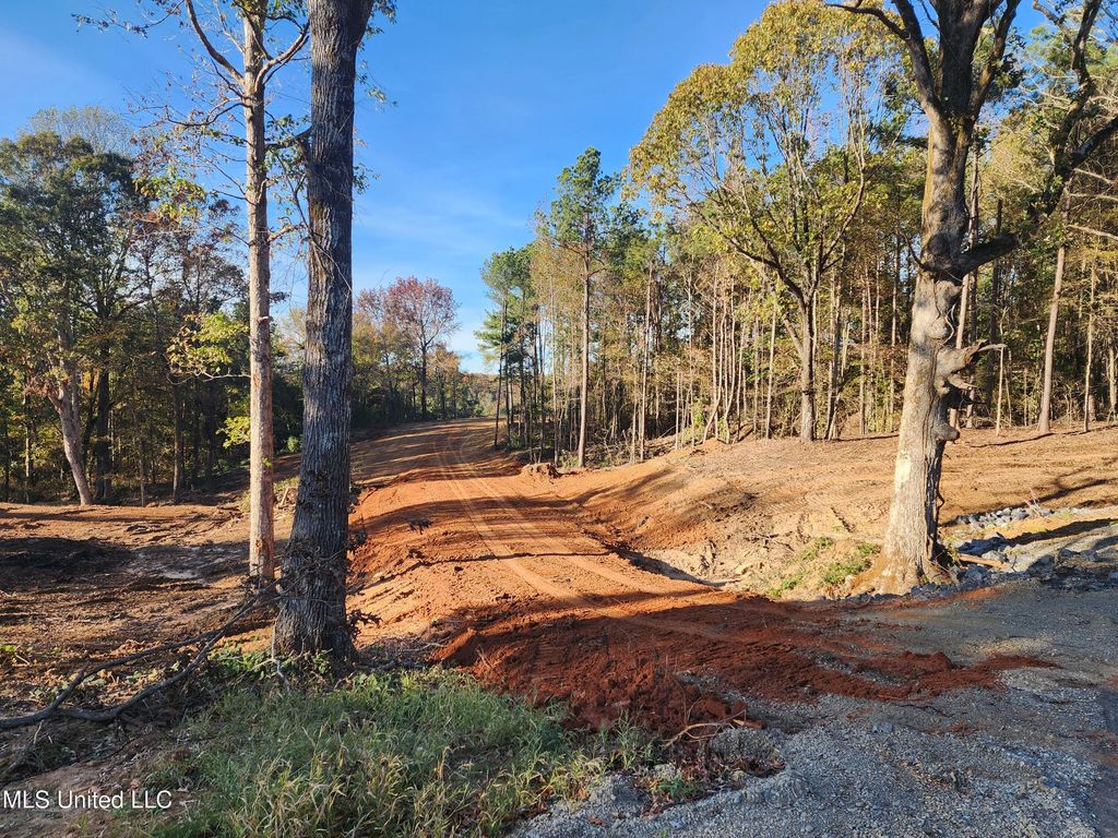 7 Tyro Branch Cove, Senatobia, MS 38668 — photo 4