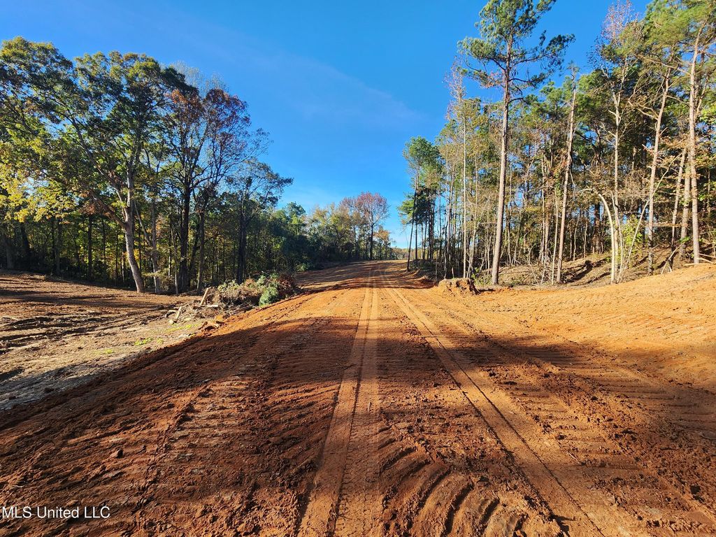 7 Tyro Branch Cove, Senatobia, MS 38668 — photo 5