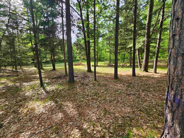 319 Burns Road, Harrison, MI 48625