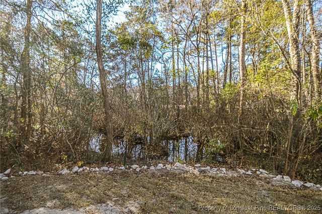 845 Larkspur Drive, Fayetteville, NC 28311