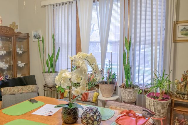 2100 S 50th Avenue, Cicero, IL 60804