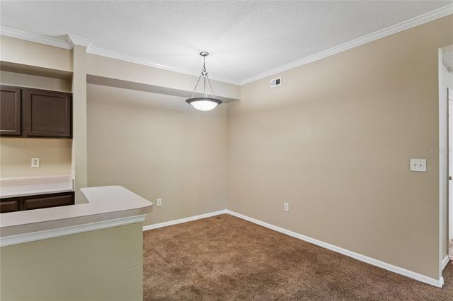 5618 PINNACLE HEIGHTS CIRCLE 312, Tampa, FL 33624