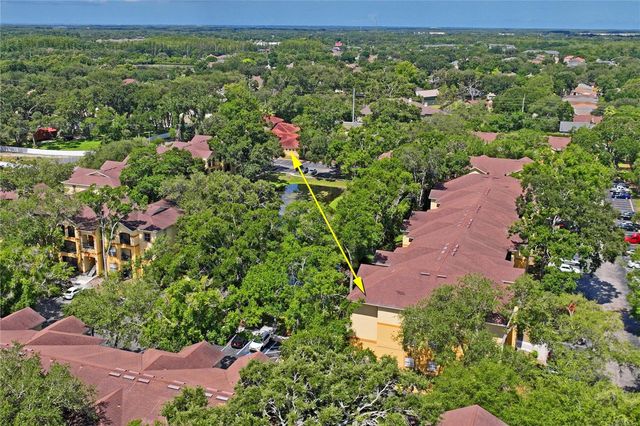 5618 PINNACLE HEIGHTS CIRCLE 312, Tampa, FL 33624