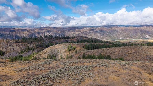 0 TBD Pharr Out - 17 Way, Omak, WA 98841