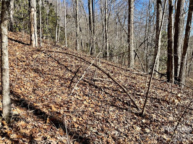 0 Deep Gap View 51&52&53, Whittier, NC 28789