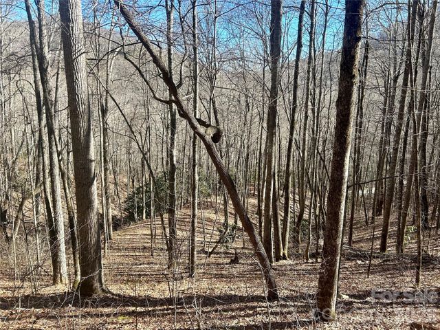 0 Deep Gap View 51&52&53, Whittier, NC 28789