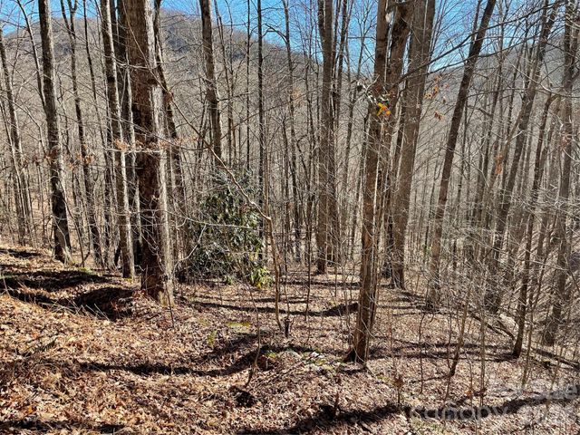 0 Deep Gap View 51&52&53, Whittier, NC 28789