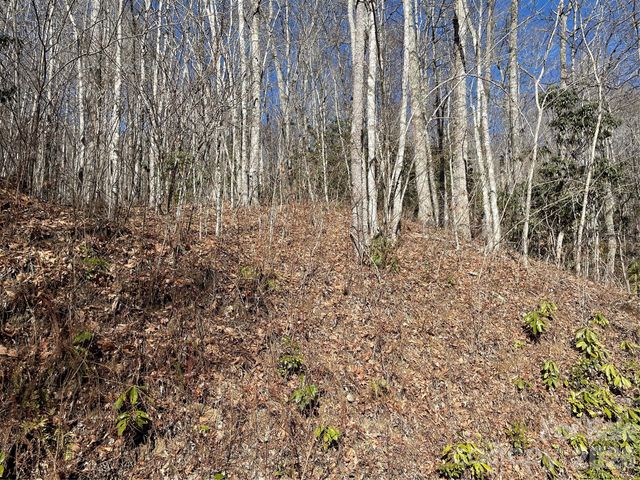 0 Deep Gap View 51&52&53, Whittier, NC 28789