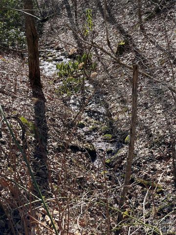 0 Deep Gap View 51&52&53, Whittier, NC 28789