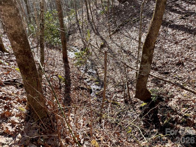 0 Deep Gap View 51&52&53, Whittier, NC 28789