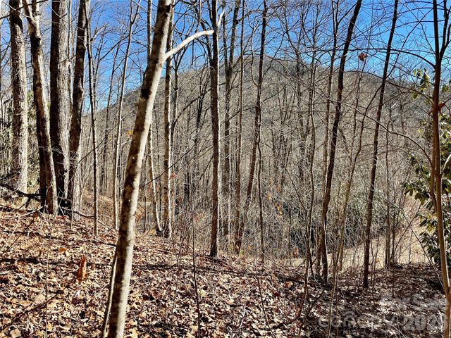 0 Deep Gap View 51&52&53, Whittier, NC 28789