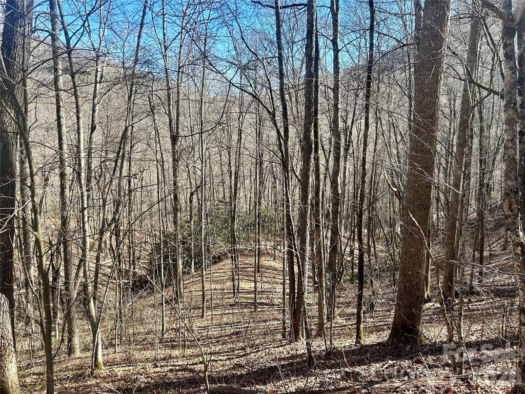 0 Deep Gap View 51&52&53, Whittier, NC 28789