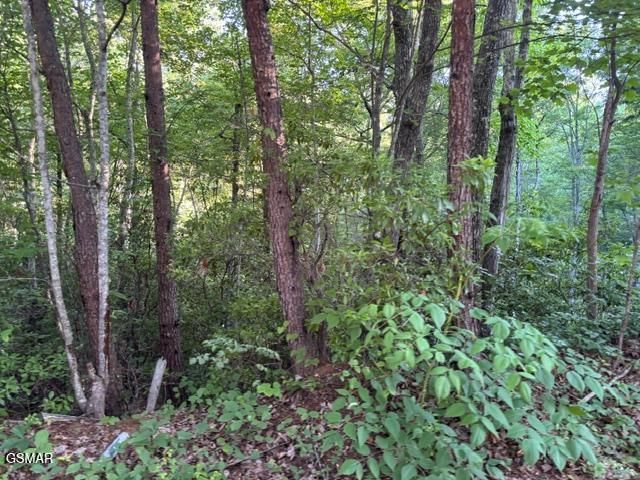 Lot 1461A Ridgehigh Pass, Sevierville, TN 37876