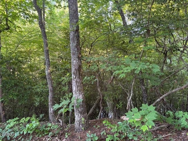 Lot 1461A Ridgehigh Pass, Sevierville, TN 37876